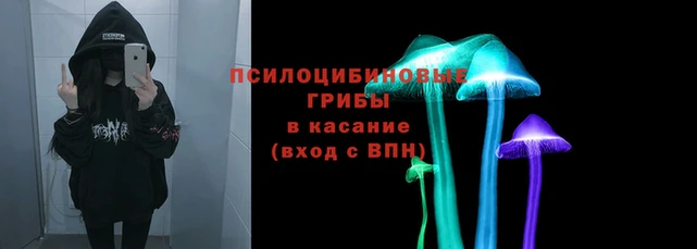 прущий лед Вязьма