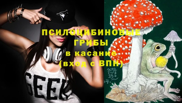 бошки Горнозаводск