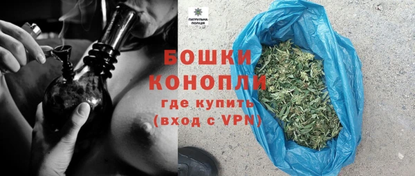 шишки Горняк
